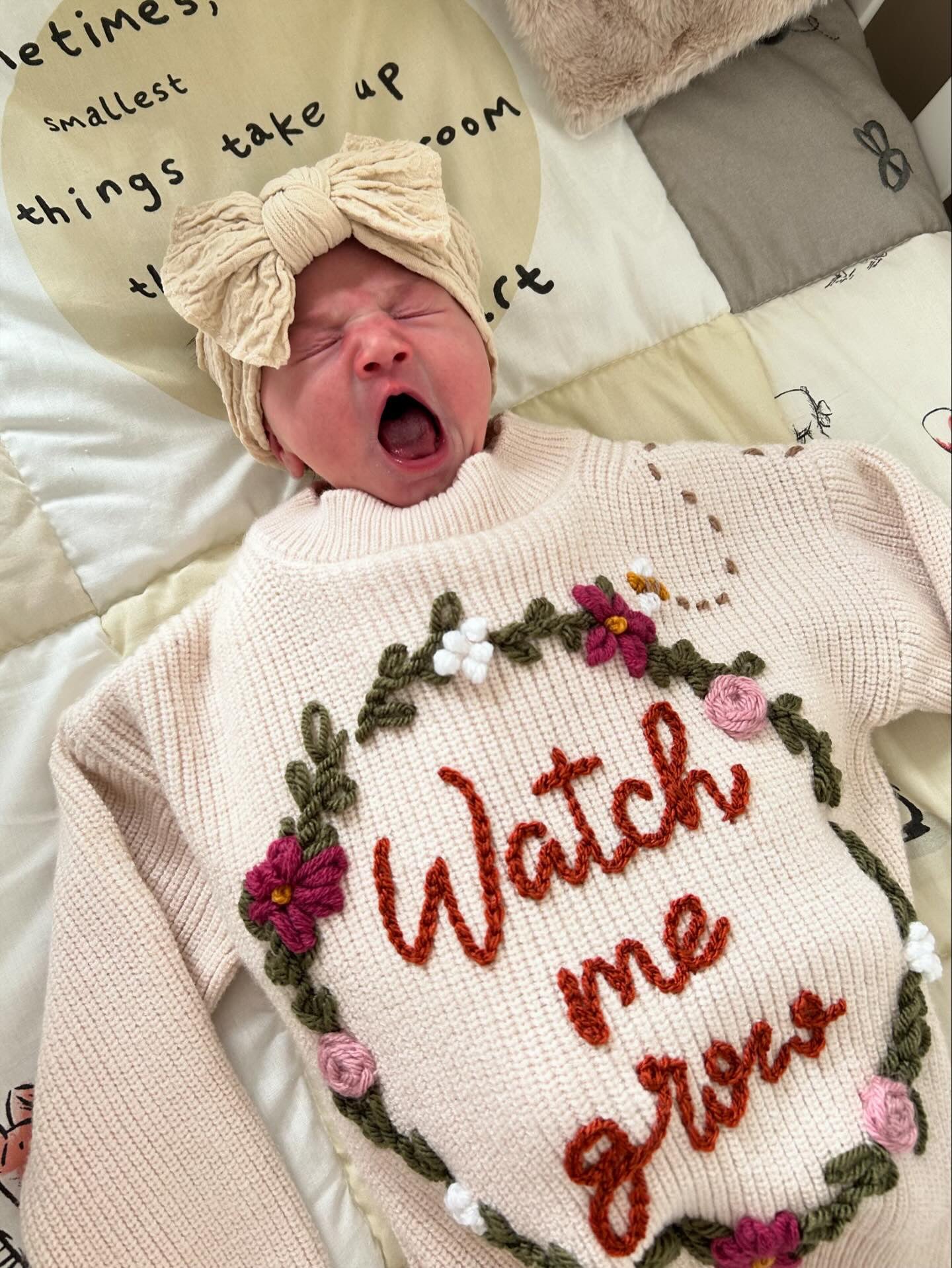 Watch me Grow Milestone Sweater