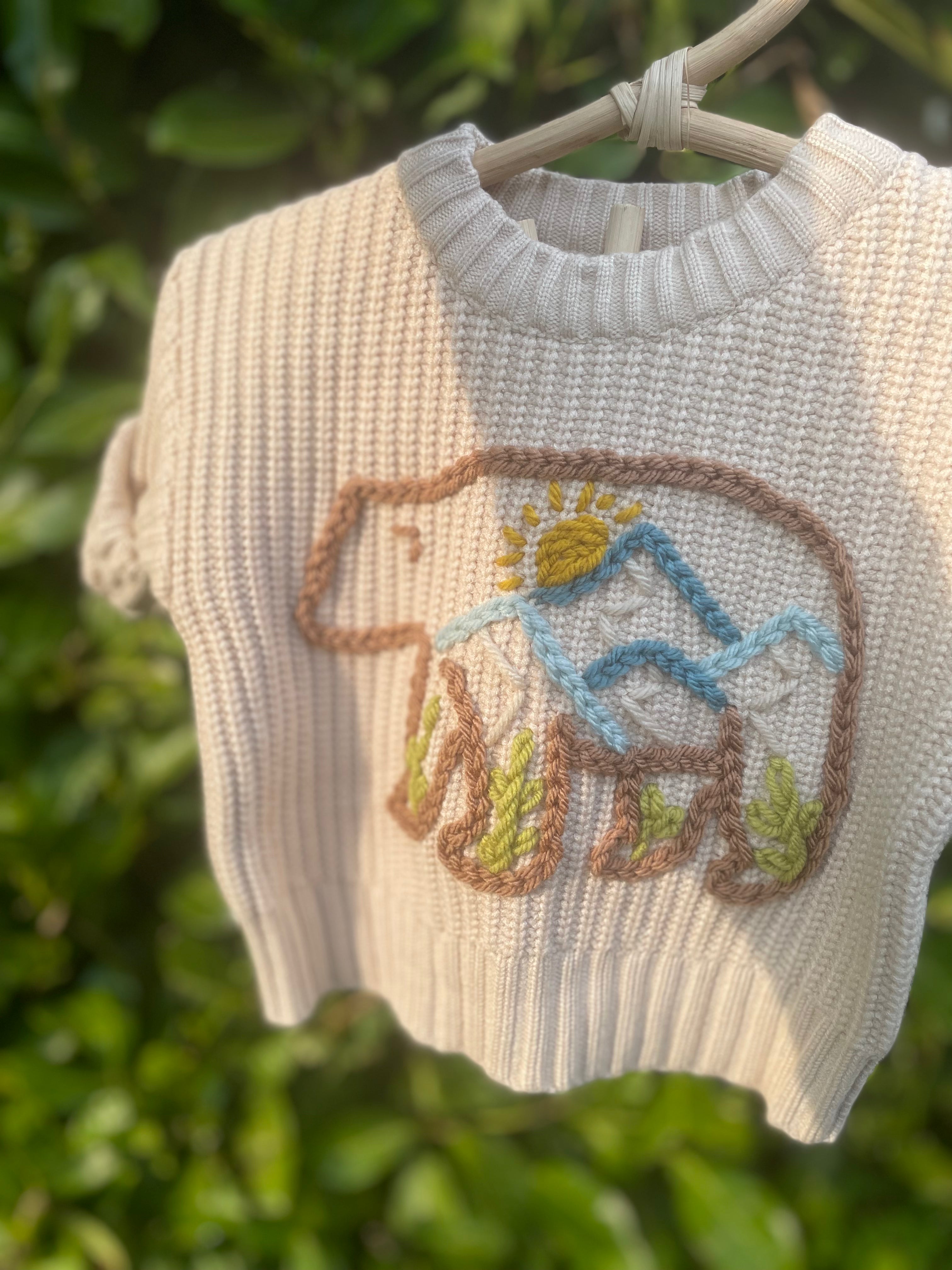 Wild Bear Sweater (3-6 months)